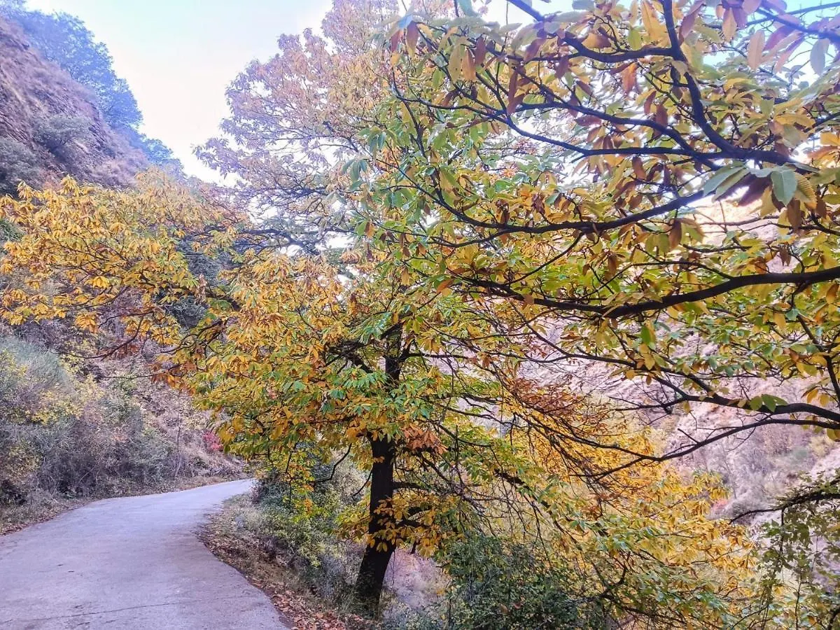 Casa De Cata Apartamento Güéjar Sierra